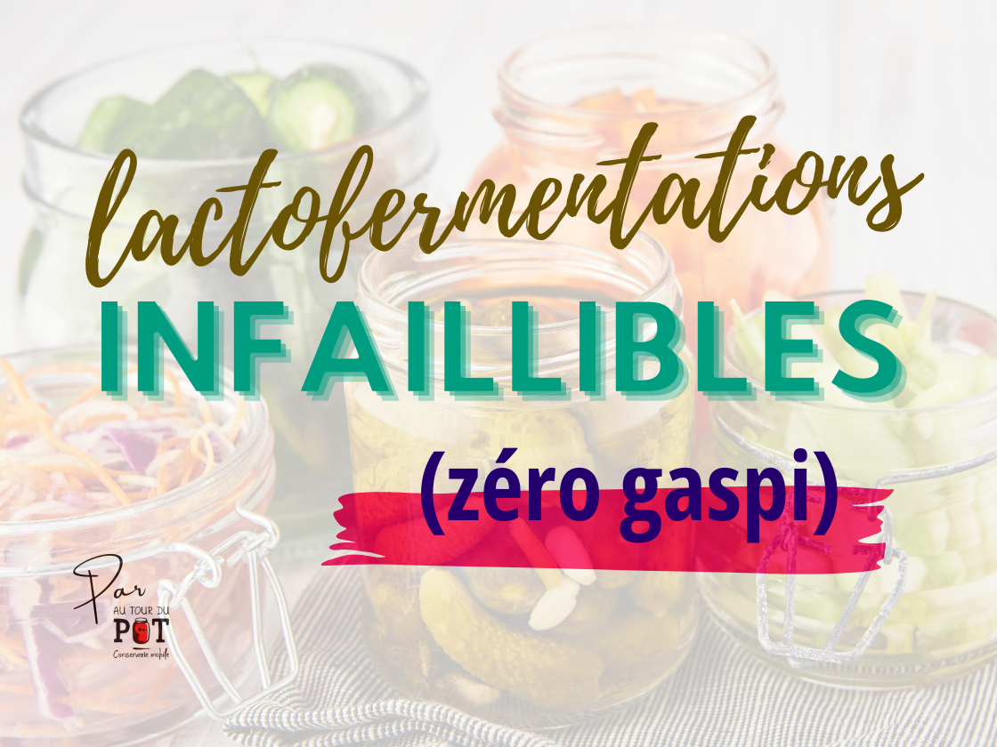 Titre de la formation Lactofermentations infaillibles zéro gaspi
